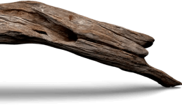 neki.ashrafiagroup.in