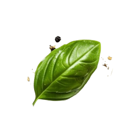neki.ashrafiagroup.in