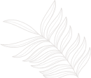 neki.ashrafiagroup.in